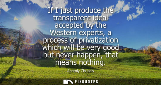Small: If I just produce the transparent ideal accepted by the Western experts, a process of privatization whi