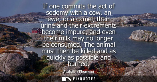 Small: If one commits the act of sodomy with a cow, an ewe, or a camel, their urine and their excrements become impur