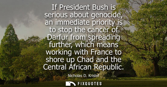 Small: If President Bush is serious about genocide, an immediate priority is to stop the cancer of Darfur from