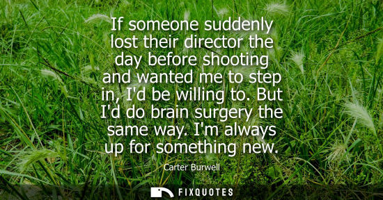 Small: If someone suddenly lost their director the day before shooting and wanted me to step in, Id be willing
