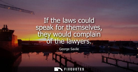 Small: If the laws could speak for themselves, they would complain of the lawyers