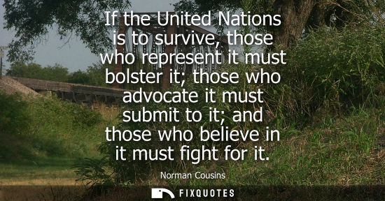 Small: If the United Nations is to survive, those who represent it must bolster it those who advocate it must 