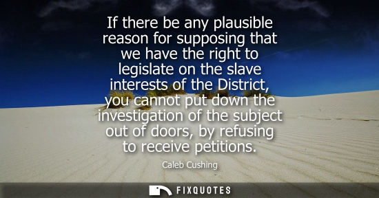 Small: If there be any plausible reason for supposing that we have the right to legislate on the slave interes