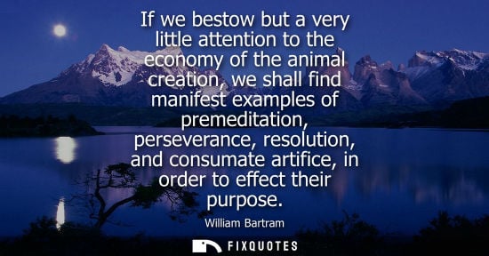 Small: If we bestow but a very little attention to the economy of the animal creation, we shall find manifest 