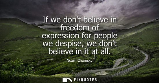 Small: If we dont believe in freedom of expression for people we despise, we dont believe in it at all