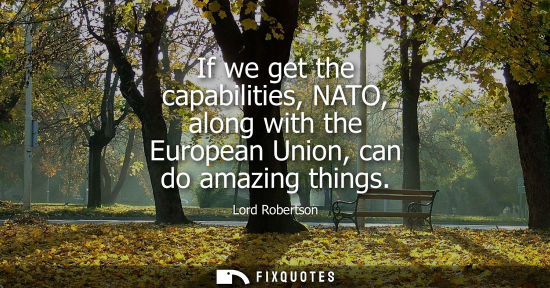 Small: If we get the capabilities, NATO, along with the European Union, can do amazing things