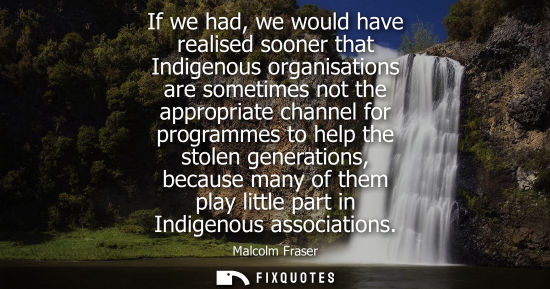 Small: If we had, we would have realised sooner that Indigenous organisations are sometimes not the appropriat