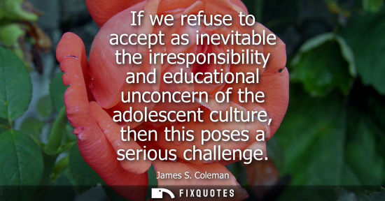 Small: If we refuse to accept as inevitable the irresponsibility and educational unconcern of the adolescent c