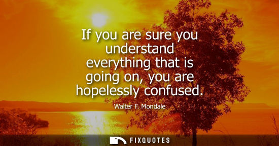 Small: If you are sure you understand everything that is going on, you are hopelessly confused