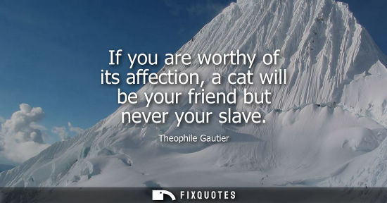 Small: If you are worthy of its affection, a cat will be your friend but never your slave