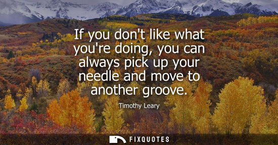 Small: If you dont like what youre doing, you can always pick up your needle and move to another groove