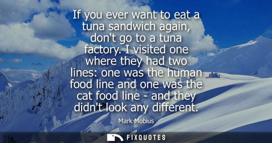 Small: If you ever want to eat a tuna sandwich again, dont go to a tuna factory. I visited one where they had 