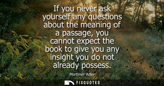 Small: If you never ask yourself any questions about the meaning of a passage, you cannot expect the book to g