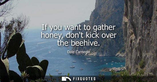 Small: If you want to gather honey, dont kick over the beehive