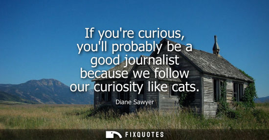 Small: If youre curious, youll probably be a good journalist because we follow our curiosity like cats