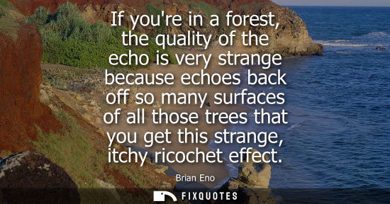 Small: If youre in a forest, the quality of the echo is very strange because echoes back off so many surfaces 
