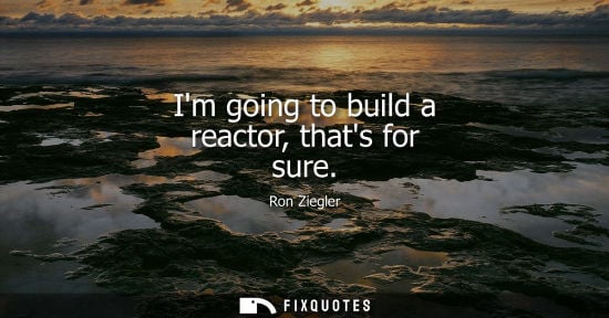 Small: Im going to build a reactor, thats for sure