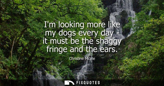 Small: Im looking more like my dogs every day - it must be the shaggy fringe and the ears