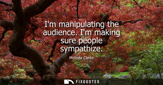 Small: Im manipulating the audience. Im making sure people sympathize