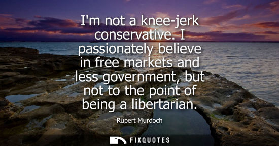 Small: Im not a knee-jerk conservative. I passionately believe in free markets and less government, but not to