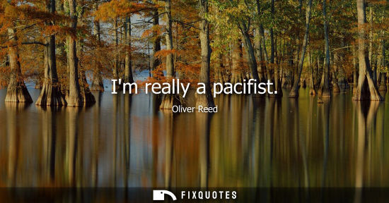 Small: Im really a pacifist