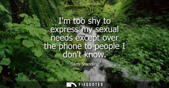 Small: Im too shy to express my sexual needs except over the phone to people I dont know