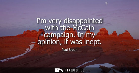 Small: Im very disappointed with the McCain campaign. In my opinion, it was inept