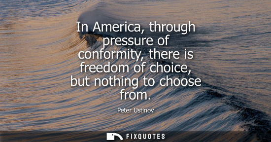 Small: In America, through pressure of conformity, there is freedom of choice, but nothing to choose from