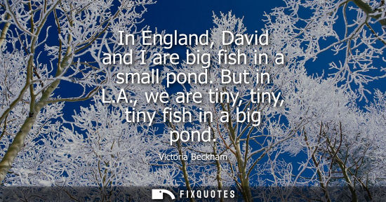 Small: In England, David and I are big fish in a small pond. But in L.A., we are tiny, tiny, tiny fish in a bi