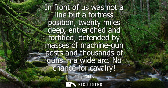 Small: In front of us was not a line but a fortress position, twenty miles deep, entrenched and fortified, def