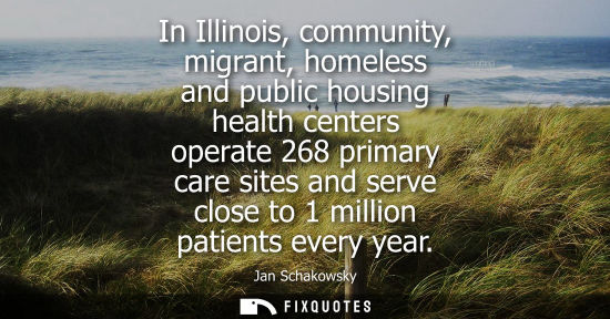 Small: In Illinois, community, migrant, homeless and public housing health centers operate 268 primary care si