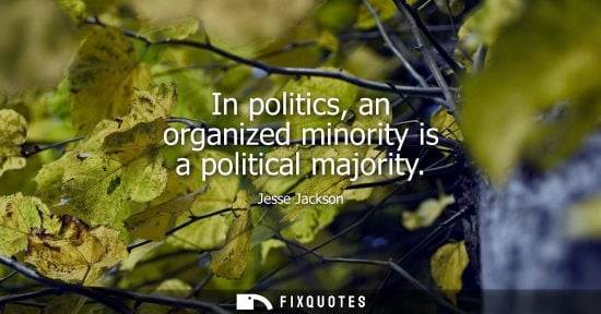 Small: In politics, an organized minority is a political majority - Jesse Jackson