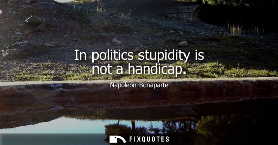 Small: In politics stupidity is not a handicap