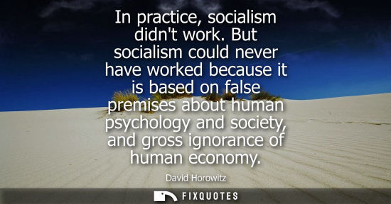 Small: In practice, socialism didnt work. But socialism could never have worked because it is based on false p