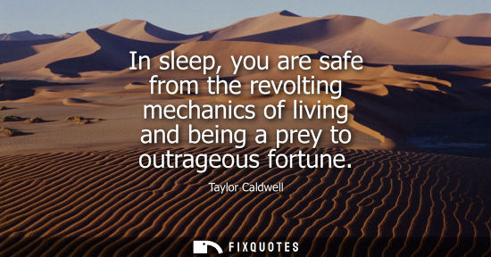 Small: In sleep, you are safe from the revolting mechanics of living and being a prey to outrageous fortune