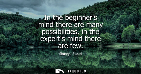 Small: In the beginners mind there are many possibilities, in the experts mind there are few