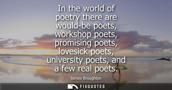 Small: In the world of poetry there are would-be poets, workshop poets, promising poets, lovesick poets, unive