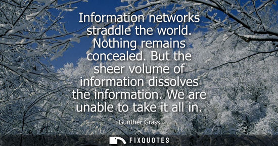 Small: Information networks straddle the world. Nothing remains concealed. But the sheer volume of information