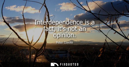 Small: Interdependence is a fact, its not an opinion