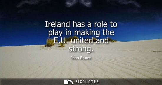 Small: Ireland has a role to play in making the E.U. united and strong