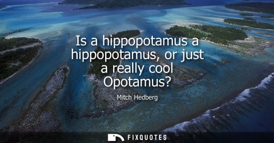 Small: Is a hippopotamus a hippopotamus, or just a really cool Opotamus?