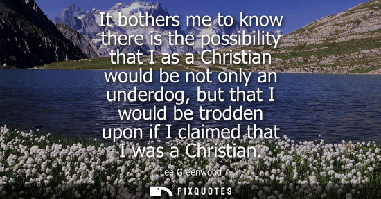 Small: It bothers me to know there is the possibility that I as a Christian would be not only an underdog, but