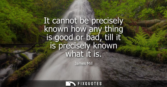 Small: It cannot be precisely known how any thing is good or bad, till it is precisely known what it is