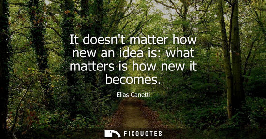 Small: It doesnt matter how new an idea is: what matters is how new it becomes