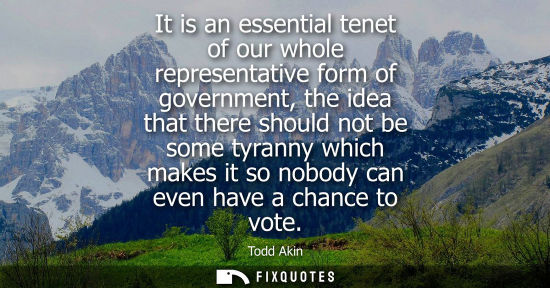 Small: It is an essential tenet of our whole representative form of government, the idea that there should not
