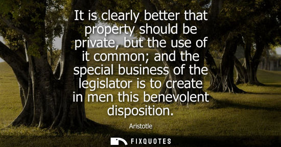 Small: It is clearly better that property should be private, but the use of it common and the special business of the