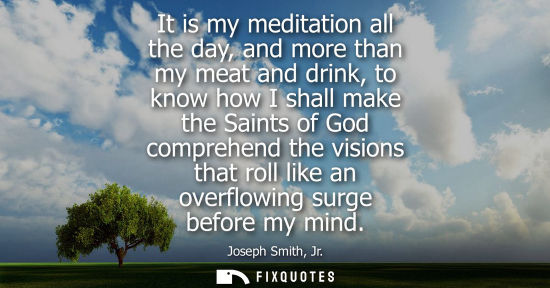 Small: It is my meditation all the day, and more than my meat and drink, to know how I shall make the Saints o