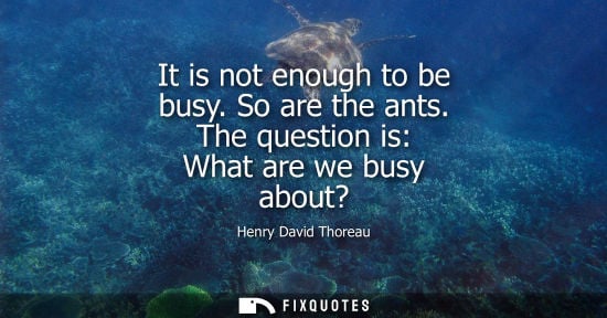 Small: It is not enough to be busy. So are the ants. The question is: What are we busy about?
