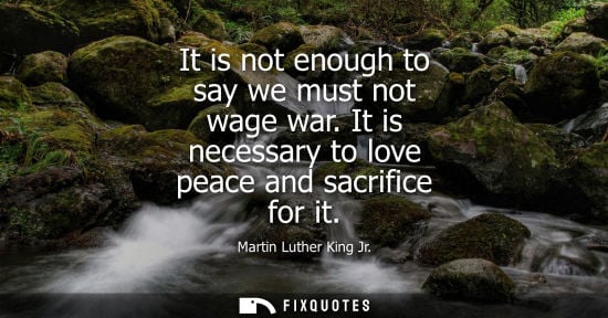 Small: It is not enough to say we must not wage war. It is necessary to love peace and sacrifice for it