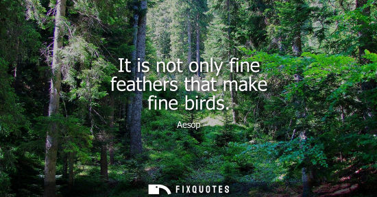 Small: It is not only fine feathers that make fine birds